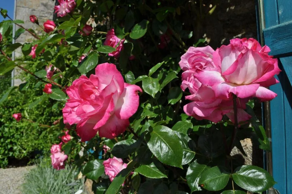 Holiday home Ti Aval - Gite De Charme A La Campagne - Cote De Granit Rose Begard France